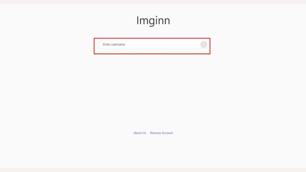 Steps of "How to use imginn?" Step No 2