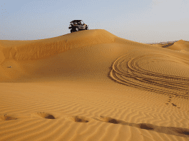 Dubai Desert Adventure