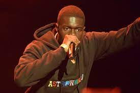 Sheck Wes's net worth